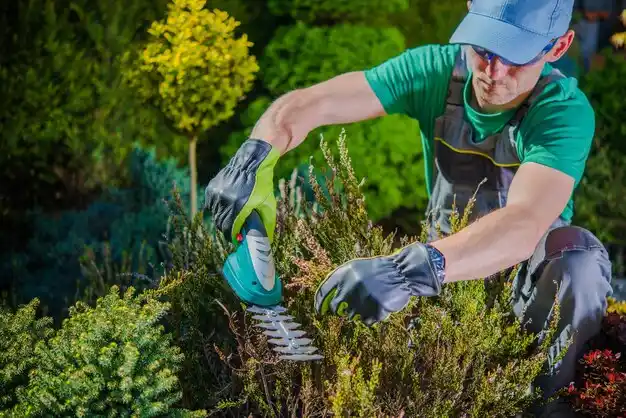 landscaping services Mathiston